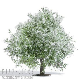 Busch 3651 Appelboom in bloei