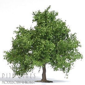 Busch 3661 Fruitboom / Kleine Eik