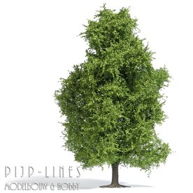 Busch 3741 Espenboom lente