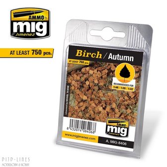 MIG 8406 Berk Herfst bladeren
