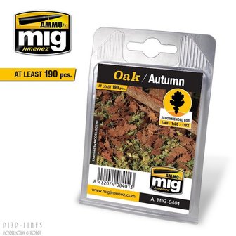 MIG 8401 Eiken Herfst bladeren