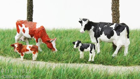 Van Petegem Holstein koeien