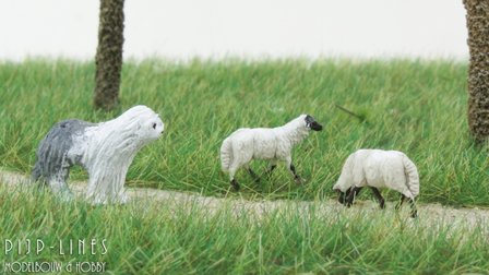 Van Petegem Engelse schaaphond met twee Suffolk schapen