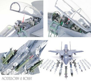 Tamiya 60312 Boeing F-15E Strike Eagle