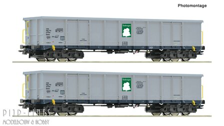 Roco 6600295 NL TWA set open bak wagons Type Eanos