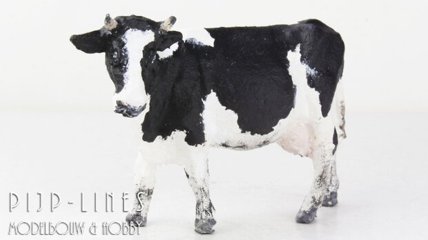 Van-Petegem HSK01 Holstein koe Starend