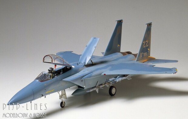 Tamiya 60304 McDonnel Douglas F15C Eagle