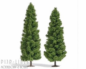 2 Lariks bomen