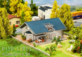 Eengezinswoning + Licht