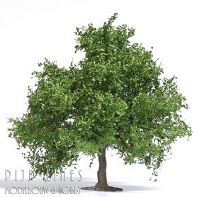 karakter Inspireren financieel Modelspoor bomen en stuiken H0 TT N - Pijp-Lines Modelbouw & Hobby