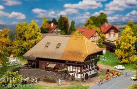 Zwarte Woud Boerderij met strodak