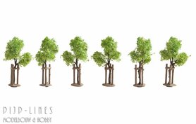 Jonge bomen met ondersteuning