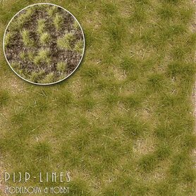 Gras Tufts Nazomer tweekleurig