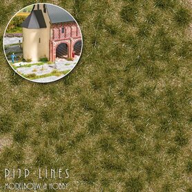 Gras Tufts Lente tweekleurig