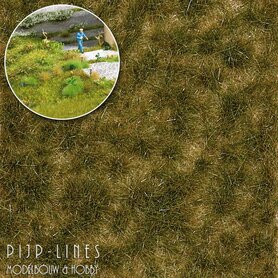 Gras Tufts Nazomer tweekleurig