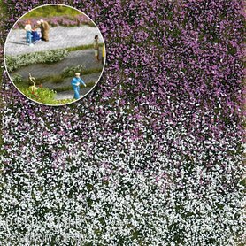 Bloemencluster Nazomer