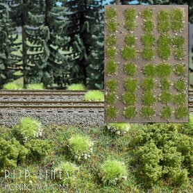 Gras Tufts met stenen Lente