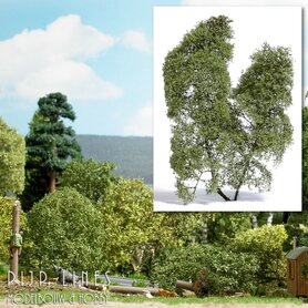 Filigraan Struikgewas Lente