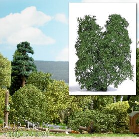 Filigraan Struikgewas Zomer