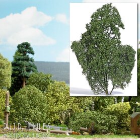 Filigraan Struikgewas Zomer