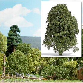 Filigraan Struikgewas Nazomer