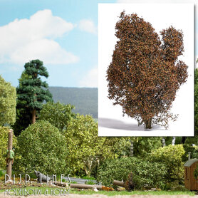 Filigraan Struikgewas Herfst