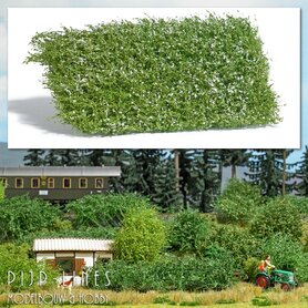 Struikmat Witte Bloemen