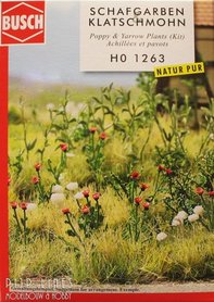 Klaprozen en Duizendblad