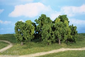 Loofbomen 8-13cm 12 stuks