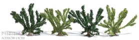 4 Zomer struiken