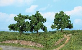 Fruitbomen 13 cm 3 stuks