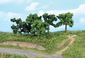 Fruitbomen 8-10 cm 5 stuks