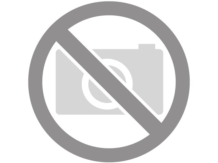 Lima NS ICM Koploper KLM AC digitaal